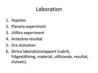 Laboration
1. Hypotes
2. Planera experiment
3. Utföra experiment
4. Anteckna resultat
5. Dra slutsatser
6. Skriva laborationsrapport (rubrik,
frågeställning, material, utförande, resultat,
slutsats)
 