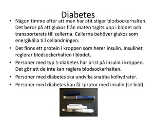 Diabetes
• Någon timme efter att man har ätit stiger blodsockerhalten.
Det beror på att glukos från maten tagits upp i blodet och
transporterats till cellerna. Cellerna behöver glukos som
energikälla till cellandningen.
• Det finns ett protein i kroppen som heter insulin. Insulinet
reglerar blodsockerhalten i blodet.
• Personer med typ 1-diabetes har brist på insulin i kroppen.
Det gör att de inte kan reglera blodsockerhalten.
• Personer med diabetes ska undvika snabba kolhydrater.
• Personer med diabetes kan få sprutor med insulin (se bild).
 