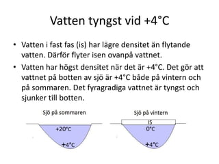 Vatten tyngst vid +4°C
• Vatten i fast fas (is) har lägre densitet än flytande
vatten. Därför flyter isen ovanpå vattnet.
• Vatten har högst densitet när det är +4°C. Det gör att
vattnet på botten av sjö är +4°C både på vintern och
på sommaren. Det fyragradiga vattnet är tyngst och
sjunker till botten.
 