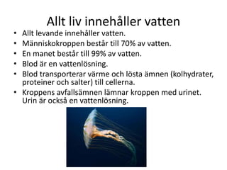Allt liv innehåller vatten
• Allt levande innehåller vatten.
• Människokroppen består till 70% av vatten.
• En manet består till 99% av vatten.
• Blod är en vattenlösning.
• Blod transporterar värme och lösta ämnen (kolhydrater,
proteiner och salter) till cellerna.
• Kroppens avfallsämnen lämnar kroppen med urinet.
Urin är också en vattenlösning.
 
