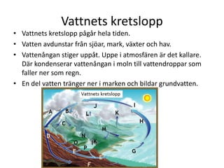 Vattnets kretslopp
• Vattnets kretslopp pågår hela tiden.
• Vatten avdunstar från sjöar, mark, växter och hav.
• Vattenångan stiger uppåt. Uppe i atmosfären är det kallare.
Där kondenserar vattenångan i moln till vattendroppar som
faller ner som regn.
• En del vatten tränger ner i marken och bildar grundvatten.
 