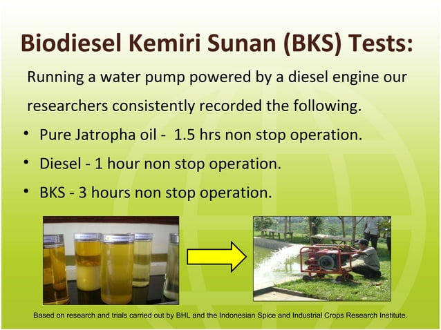 Kemiri Sunan Cleaner Cheaper And Greener Than Palm Oil PPT