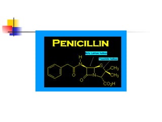 Beta Laktam halkası

            Tiazolidin halkası
 