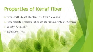 Properties of Kenaf fiber
 Fiber length: Kenaf fiber length is from 2.6 to 4mm.
 Fiber diameter: diameter of Kenaf fiber is from 17 to 21.9 micron.
 Density: 1.4 g/cm3.
 Elongation: 1.6 %
 
