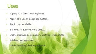 Uses
 Roping: it is use in making ropes.
 Paper: it is use in paper production.
 Use in coarse cloths.
 It is used in automotive product.
 Engineered wood, Insulation, Clothing-grade cloth
 Soil-less potting mixes
 Animal bedding, Packing material
 