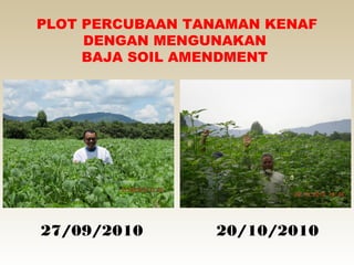 PLOT PERCUBAAN TANAMAN KENAF
     DENGAN MENGUNAKAN
     BAJA SOIL AMENDMENT




27/09/2010       20/10/2010
 