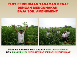 PLOT PERCUBAAN TANAMAN KENAF
      DENGAN MENGUNAKAN
      BAJA SOIL AMENDMENT




 DENGAN KAEDAH PEMBAJAAN SOIL AMENDMENT
DAN TAAVEEKUN PENDAPATAN PETANI MENINGKAT
 