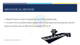 MECHANICAL METHOD
 Rando Cleaner is used to separate the kenaf fiber mechanically
 It consist of six-cylinder incline cleaner with 1.27cm space between grid bars and the
degree of incline may be different, for example, 30° or 45.
UNIVERSITY OF AGRICULTURE FAISALABAD – UAF
 