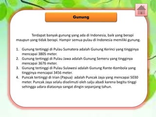 Terdapat banyak gunung yang ada di Indonesia, baik yang berapi
maupun yang tidak berapi. Hampir semua pulau di Indonesia memiliki gunung.
1. Gunung tertinggi di Pulau Sumatera adalah Gunung Kerinci yang tingginya
mencapai 3805 meter.
2. Gunung tertinggi di Pulau Jawa adalah Gunung Semeru yang tingginya
mencapai 3676 meter.
3. Gunung tertinggi di Pulau Sulawesi adalah Gunung Rante-Kombola yang
tingginya mencapai 3456 meter.
4. Puncak tertinggi di Irian (Papua) adalah Puncak Jaya yang mencapai 5030
meter. Puncak Jaya selalu diselimuti oleh salju abadi karena begitu tinggi
sehingga udara diatasnya sangat dingin sepanjang tahun.
Gunung
 