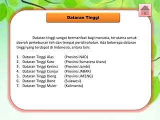 Dataran tinggi sangat bermanfaat bagi manusia, terutama untuk
daerah perkebunan teh dan tempat peristirahatan. Ada beberapa dataran
tinggi yang terdapat di Indonesia, antara lain:
1. Dataran Tinggi Alas (Provinsi NAD)
2. Dataran Tinggi Karo (Provinsi Sumatera Utara)
3. Dataran Tinggi Kerinci (Provinsi Jambi)
4. Dataran Tinggi Cianjur (Provinsi JABAR)
5. Dataran Tinggi Dieng (Provinsi JATENG)
6. Dataran Tinggi Bone (Sulawesi)
7. Dataran Tinggi Muler (Kalimanta)
Dataran Tinggi
 
