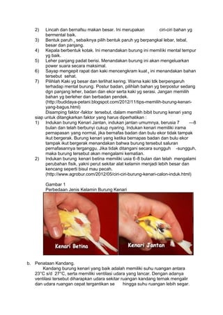 Batas Usia Produktif Kenari Jantan Kenari