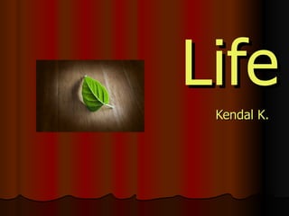 Life Kendal K. 