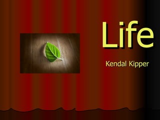 Life Kendal Kipper 