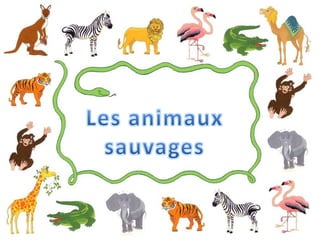 Les animaux sauvages 