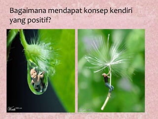 Bagaimanamendapatkonsepkendiri yang positif?August 17, 20113KURSUS BUDAYA KORPORAT 2011