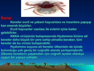 Kene: Keneler evcil ve yabani hayvanlara ve insanlara yapışıp kan emerek büyürler. Evcil hayvanlar vasıtası ile evlerin içine kadar gelebilirler.  KKKA virüsünün bulaşmasında Hyalomma türüne ait keneler daha büyük bir yere sahip olmakla beraber, tüm keneler de bu virüsü bulaştırabilir. Hyalomma soyuna ait keneler ülkemizin de içinde bulunduğu çok geniş bir coğrafik alanda yerleşmişlerdir. Ülkemiz kenelerin yaşamaları için coğrafi açıdan oldukça uygun bir yapıya sahiptir.  Kırmızı - kahverenginde yassı, oval bir dış parazittir.  