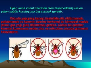 Eğer, kene vücut üzerinde iken tespit edilmiş ise en yakın sağlık kuruluşuna başvurmak gerekir. Vücuda yapışmış keneyi kesinlikle elle öldürmemek, patlatmamak ve kenenin üzerine herhangi bir kimyasal madde (alkol, gaz yağı gibi) dökmemek gerekir. Çünkü bu işlemler kenenin kusmasına neden olur ve mikrobun vücuda girmesini kolaylaştırır. 