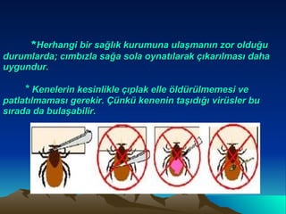 * Herhangi bir sağlık kurumuna ulaşmanın zor olduğu durumlarda; cımbızla sağa sola oynatılarak çıkarılması daha uygundur. *  Kenelerin kesinlikle çıplak elle öldürülmemesi ve patlatılmaması gerekir. Çünkü kenenin taşıdığı virüsler bu sırada da bulaşabilir. 