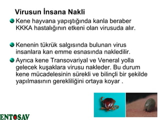 Virusun İnsana Nakli   Kene hayvana yapıştığında kanla beraber KKKA hastalığının etkeni olan virusuda alır. Kenenin tükrük salgısında bulunan virus insanlara kan emme esnasında nakledilir. Ayrıca kene Transovariyal ve Veneral yolla gelecek kuşaklara virusu nakleder. Bu durum kene mücadelesinin sürekli ve bilinçli bir şekilde yapılmasının gerekliliğini ortaya koyar . 