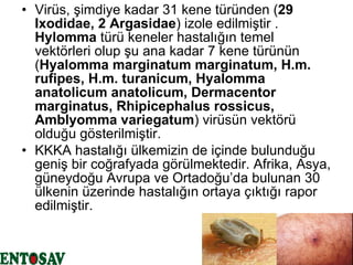 Virüs, şimdiye kadar 31 kene türünden ( 29 Ixodidae, 2 Argasidae ) izole edilmiştir .  Hylomma  türü keneler hastalığın temel vektörleri olup şu ana kadar 7 kene türünün ( Hyalomma marginatum marginatum, H.m. rufipes, H.m. turanicum, Hyalomma anatolicum anatolicum, Dermacentor marginatus, Rhipicephalus rossicus, Amblyomma variegatum ) virüsün vektörü olduğu gösterilmiştir.  KKKA hastalığı ülkemizin de içinde bulunduğu geniş bir coğrafyada görülmektedir. Afrika, Asya, güneydoğu Avrupa ve Ortadoğu’da bulunan 30 ülkenin üzerinde hastalığın ortaya çıktığı rapor edilmiştir.   