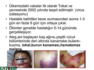 Ülkemizdeki vakalar ilk olarak Tokat ve çevresinde 2002 yılında tespit edilmiştir. (virus izalasyonu) Hastalık belirtileri kene ısırmasından sonra 1-3 gün en fazla 9 gün için ortaya çıkar. Ölümler genelde hastalığın 5-14.gününde gerçekleşiyor. Ateş,ani başlayan baş ağrısı,çeşitli vücut bölümlerinde deri altında kanamalar,bulantı-kusma,  ishal,burun kanaması,hematemez melana.  