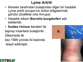 Lyme Artriti Keneler tarafından bulaştırılan diğer bir hastalık Lyme artriti avrupa’nın bütün bölgelerinde görülür.(özellikle orta Avrupa) Hastalık etkeni  Borrelio burgdorferi  adlı bakteridir. İxodes ricinus  keneleri ile  taşınıp insanlara bulaştırılır. Ülkemizde ilk  kez 1990 yılında iki kadında tespit edilmiştir. 