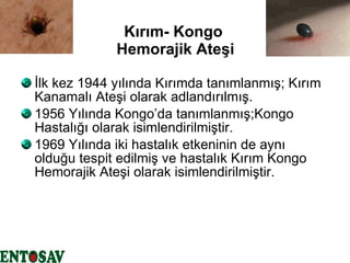 Kırım- Kongo  Hemorajik Ateşi İlk kez 1944 yılında Kırımda tanımlanmış; Kırım Kanamalı Ateşi olarak adlandırılmış. 1956 Yılında Kongo’da tanımlanmış;Kongo Hastalığı olarak isimlendirilmiştir. 1969 Yılında iki hastalık etkeninin de aynı olduğu tespit edilmiş ve hastalık Kırım Kongo Hemorajik Ateşi olarak isimlendirilmiştir.  