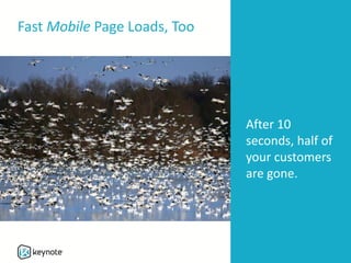 Fast Mobile Page Loads, Too
After 10
seconds, half of
your customers
are gone.
 