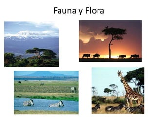 Fauna y Flora
 