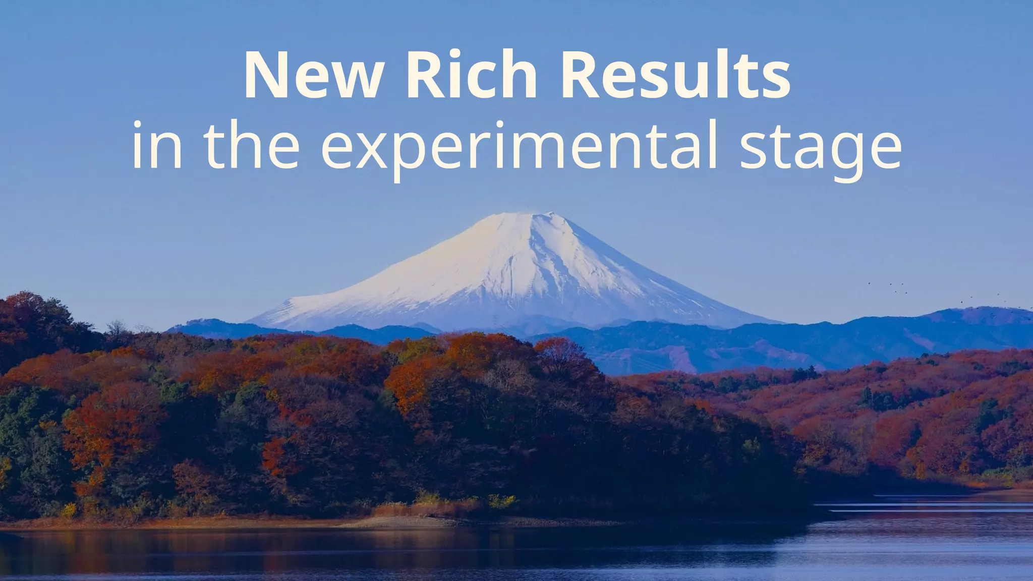 @suzukik	
New Rich Results 
in the experimental stage
 