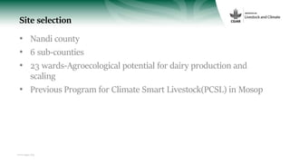 On-farm technologies in social context: Improving local adaptive capacities and inclusive scaling mechanisms in Nandi County, Kenya
