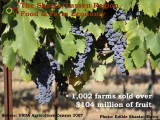 The Shasta/Lassen Region
        Food & Farm Economy




                            • 1,002 farms sold over
                               $104 million of fruit
Source: USDA Agriculture Census 2007   Photo: Edible Shasta—Butte
 
