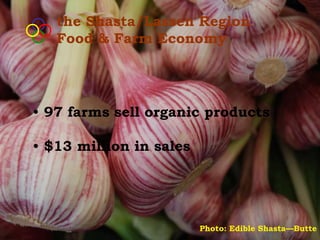 the Shasta/Lassen Region
   Food & Farm Economy




• 97 farms sell organic products

• $13 million in sales




                         Photo: Edible Shasta—Butte
 