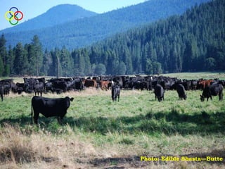 Photo: Edible Shasta—Butte
 