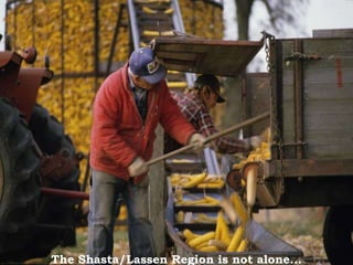 The Shasta/Lassen Region is not alone...
 