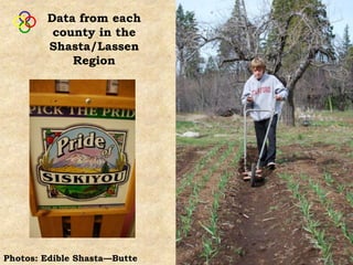 Data from each
         county in the
        Shasta/Lassen
            Region




Photos: Edible Shasta—Butte
 