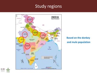 Role and contribution of working equines in India