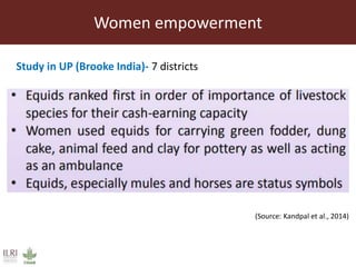 Role and contribution of working equines in India