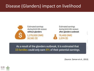 Role and contribution of working equines in India