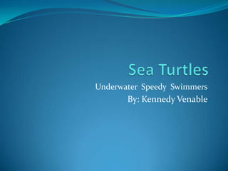 Underwater Speedy Swimmers
       By: Kennedy Venable
 