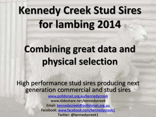 Kennedy Creek Stud Sires 
for lambing 2014 
Combining great data and 
physical selection 
High performance stud sires producing next 
generation commercial and stud sires 
www.polldorset.org.au/kennedycreek 
www.slideshare.net/kennedycreek 
Email: kennedycreek@polldorset.org.au 
Facebook: www.facebook.com/kennedycreek1 
Twitter: @kennedycreek1 
 