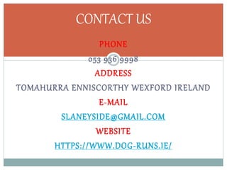 PHONE
053 936 9998
ADDRESS
TOMAHURRA ENNISCORTHY WEXFORD IRELAND
E-MAIL
SLANEYSIDE@GMAIL.COM
WEBSITE
HTTPS://WWW.DOG-RUNS.IE/
CONTACT US
 