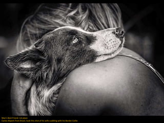 Man's Best Friend: 1st place
Carlos Aliperti from Brazil, took this shot of his wife cuddling with his Border Collie.
 