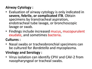 Airway Cytology :
• Evaluation of airway cytology is only indicated in
severe, febrile, or complicated ITB. Obtain
specimens by transtracheal aspiration,
endotracheal tube lavage, or bronchoscopic
lavage or swab.
• Findings include increased mucus, mucopurulent
exudate, and sometimes bacteria.
Cultures :
• Nasal swabs or tracheobronchial specimens can
be cultured for Bordetella and mycoplasma.
Virology and Serology :
• Virus isolation can identify CPIV and CAV-2 from
nasopharyngeal or tracheal swabs.
 