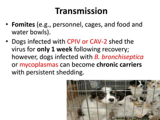 Transmission
• Fomites (e.g., personnel, cages, and food and
water bowls).
• Dogs infected with CPIV or CAV-2 shed the
virus for only 1 week following recovery;
however, dogs infected with B. bronchiseptica
or mycoplasmas can become chronic carriers
with persistent shedding.
 