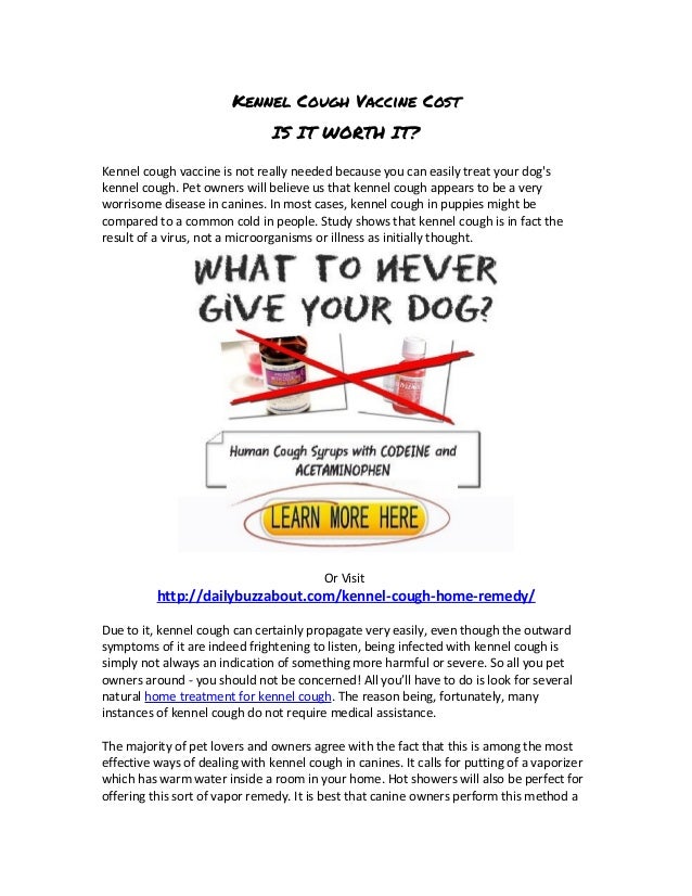 Kennel Cough Vaccine Cost >> Kennel Cough Vaccine Cost Kennel Cough Vaccine Cost >> Kennel Cough Vaccine Cost
