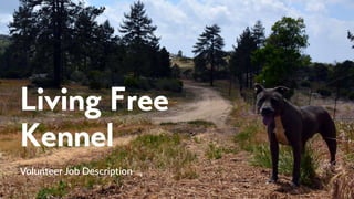 Living Free
Kennel
Volunteer Job Description
 