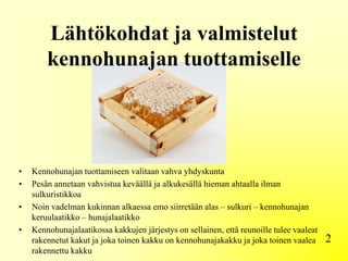 Lähtökohdat ja valmistelut
kennohunajan tuottamiselle
2
• Kennohunajan tuottamiseen valitaan vahva yhdyskunta
• Pesän annetaan vahvistua keväällä ja alkukesällä hieman ahtaalla ilman
sulkuristikkoa
• Noin vadelman kukinnan alkaessa emo siirretään alas – sulkuri – kennohunajan
keruulaatikko – hunajalaatikko
• Kennohunajalaatikossa kakkujen järjestys on sellainen, että reunoille tulee vaaleat
rakennetut kakut ja joka toinen kakku on kennohunajakakku ja joka toinen vaalea
rakennettu kakku
 