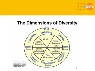 Diversity and Inclusiveness - Case study on the United Nations | PDF