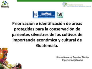 Priorización e identificación de áreas
 protegidas para la conservación de
parientes silvestres de los cultivos de
importancia económica y cultural de
              Guatemala.

                        Kenset Amaury Rosales Riveiro
                            Ingeniero Agrónomo
 